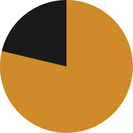 Placeholder pie chart